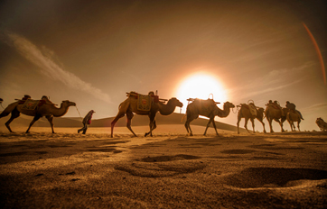 bte365国际 “一带一起”建议培训平台