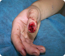 bte·365(中国)体育在线官网