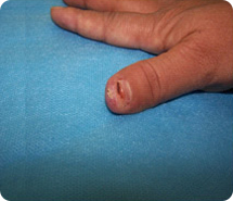 bte·365(中国)体育在线官网