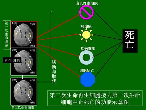 bte·365(中国)体育在线官网