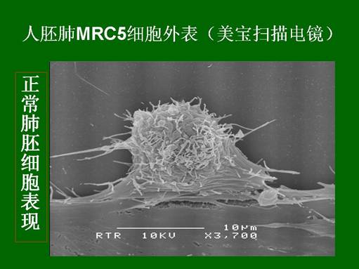 bte·365(中国)体育在线官网