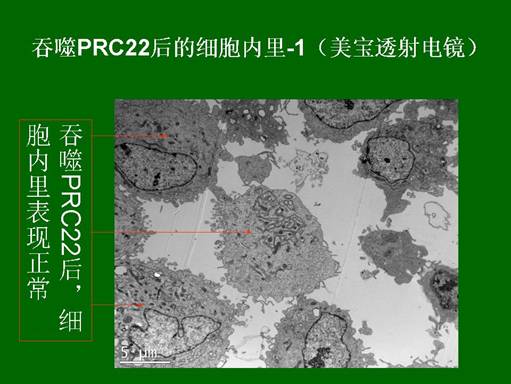 bte·365(中国)体育在线官网