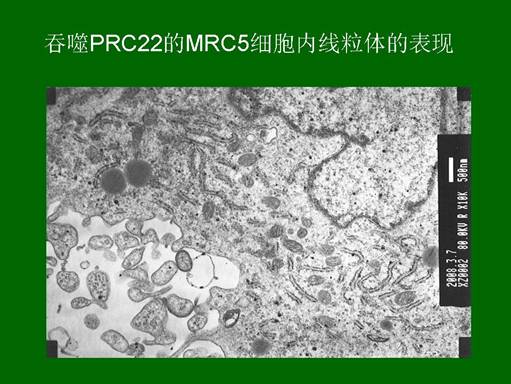 bte·365(中国)体育在线官网