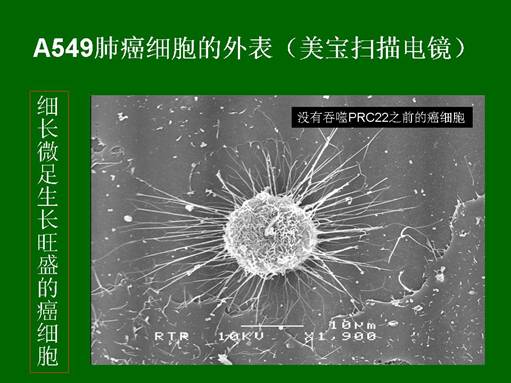 bte·365(中国)体育在线官网