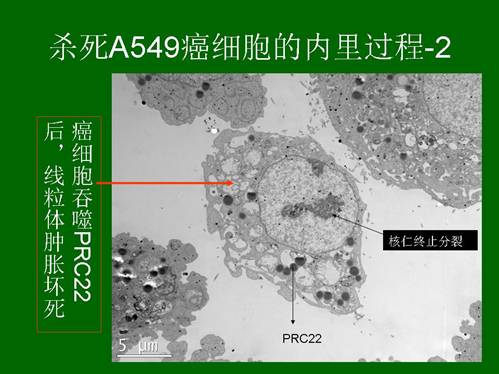 bte·365(中国)体育在线官网