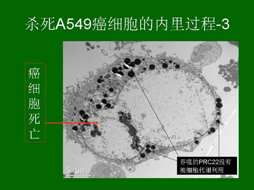 bte·365(中国)体育在线官网