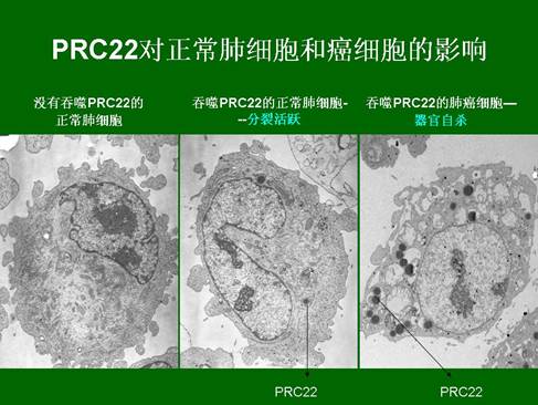 bte·365(中国)体育在线官网