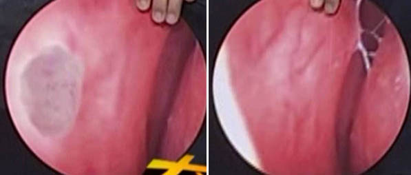 bte·365(中国)体育在线官网