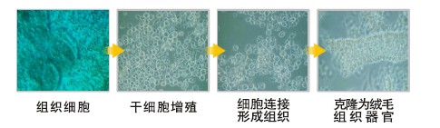 bte·365(中国)体育在线官网