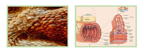bte·365(中国)体育在线官网