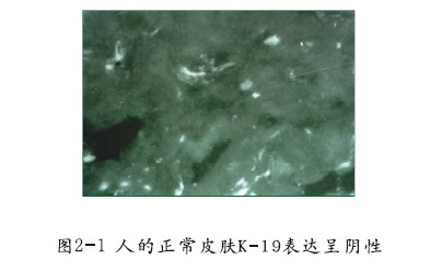 bte·365(中国)体育在线官网