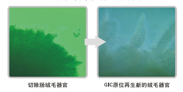 bte·365(中国)体育在线官网