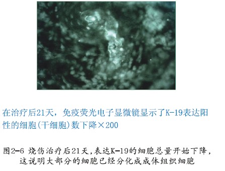 bte·365(中国)体育在线官网