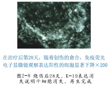 bte·365(中国)体育在线官网