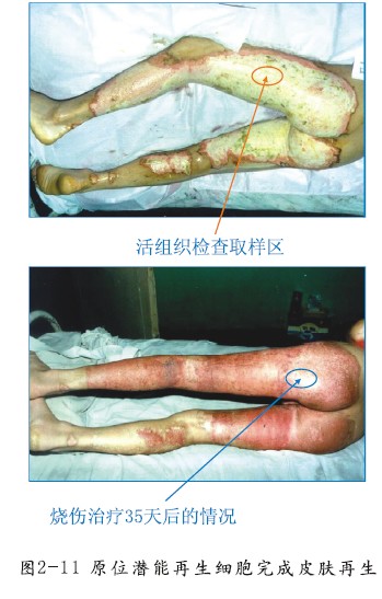 bte·365(中国)体育在线官网