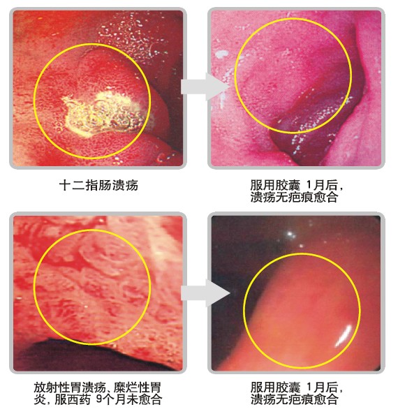 bte·365(中国)体育在线官网