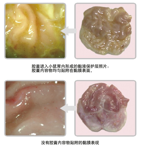 bte·365(中国)体育在线官网