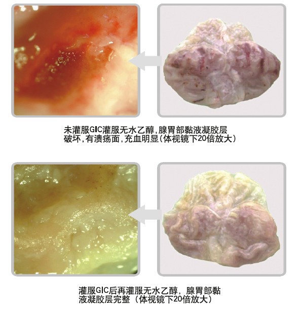 bte·365(中国)体育在线官网