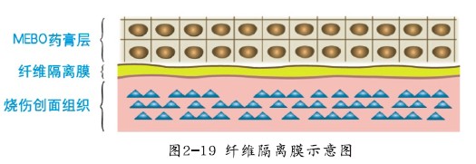 bte·365(中国)体育在线官网