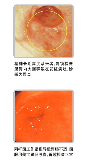 bte·365(中国)体育在线官网