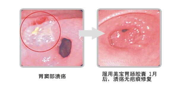 bte·365(中国)体育在线官网