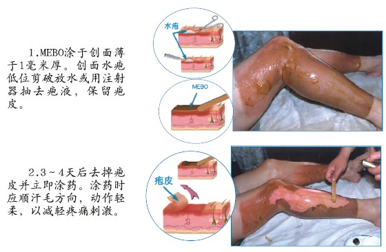 bte·365(中国)体育在线官网