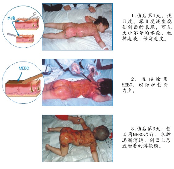 bte·365(中国)体育在线官网
