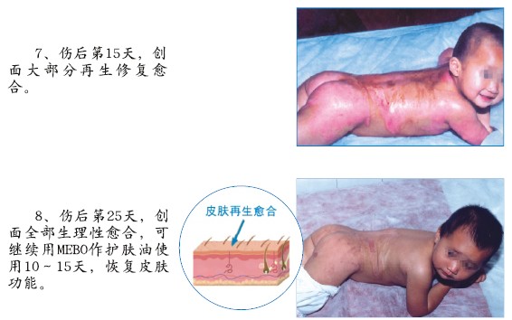 bte·365(中国)体育在线官网