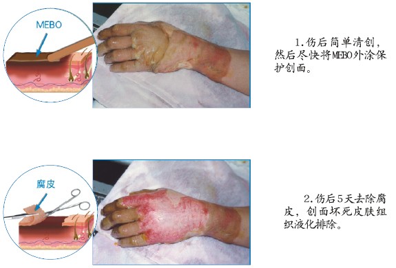 bte·365(中国)体育在线官网