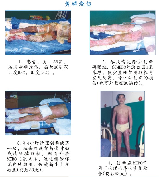 bte·365(中国)体育在线官网