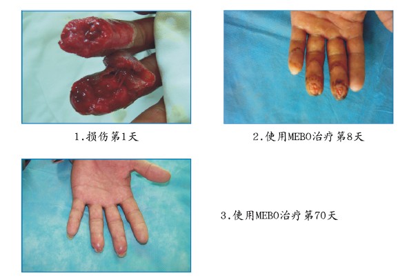 bte·365(中国)体育在线官网
