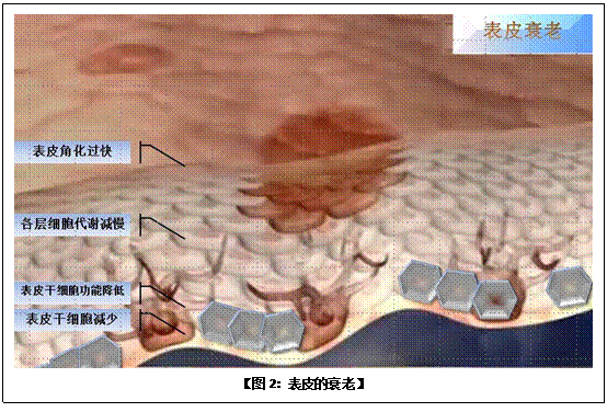 bte·365(中国)体育在线官网
