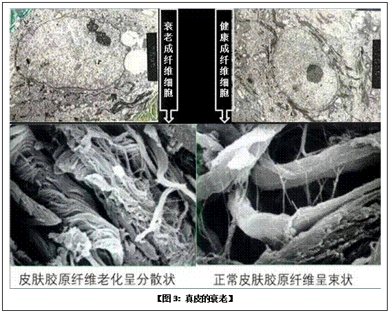 bte·365(中国)体育在线官网