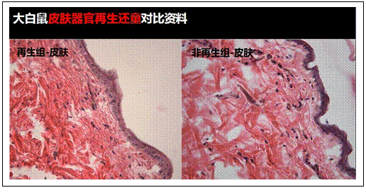 bte·365(中国)体育在线官网