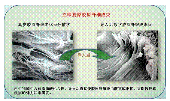 bte·365(中国)体育在线官网