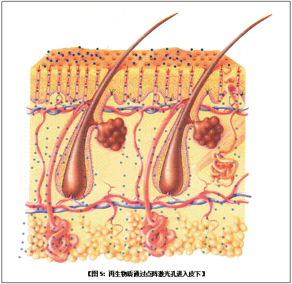 bte·365(中国)体育在线官网