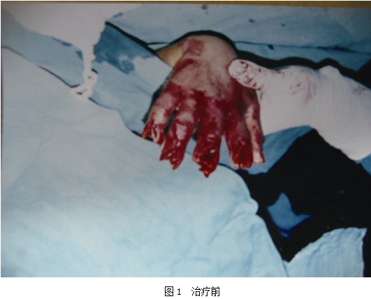 bte·365(中国)体育在线官网