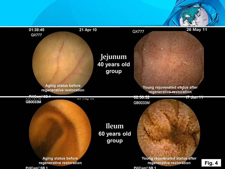 bte·365(中国)体育在线官网