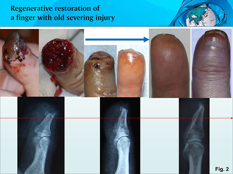 bte·365(中国)体育在线官网