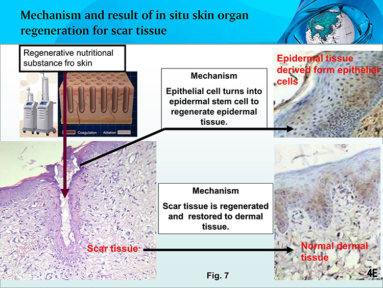 bte·365(中国)体育在线官网