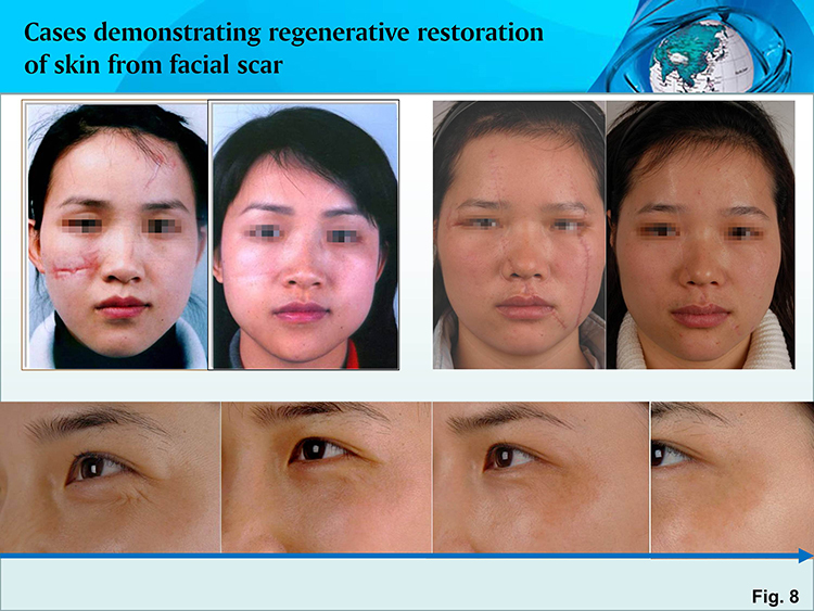 bte·365(中国)体育在线官网