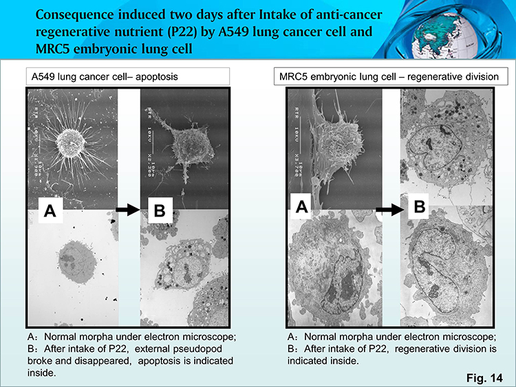 bte·365(中国)体育在线官网