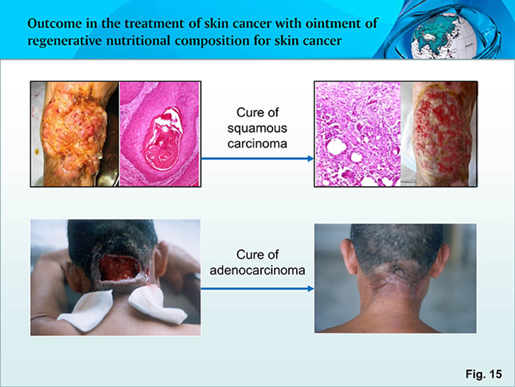 bte·365(中国)体育在线官网