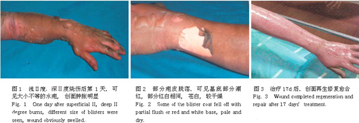 bte·365(中国)体育在线官网