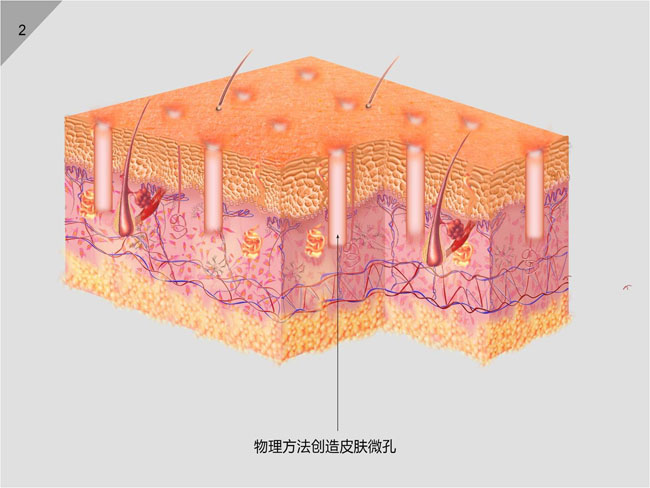 bte·365(中国)体育在线官网