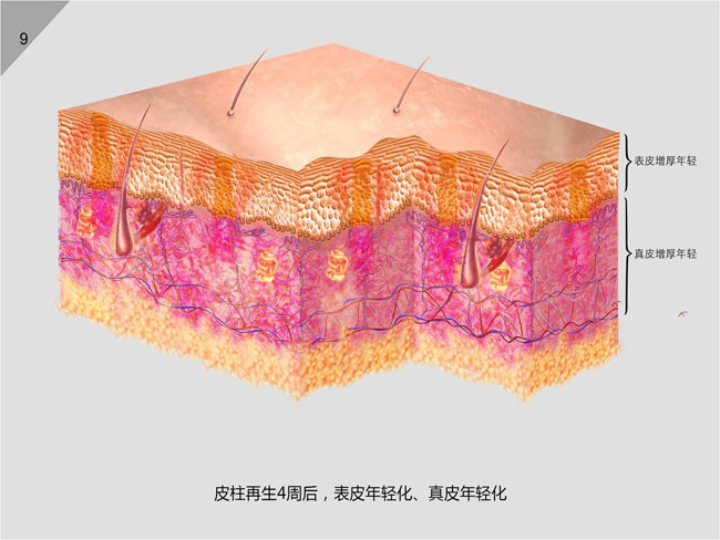 bte·365(中国)体育在线官网