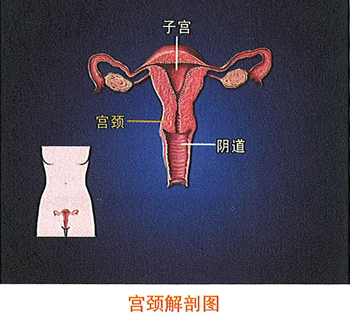 bte·365(中国)体育在线官网