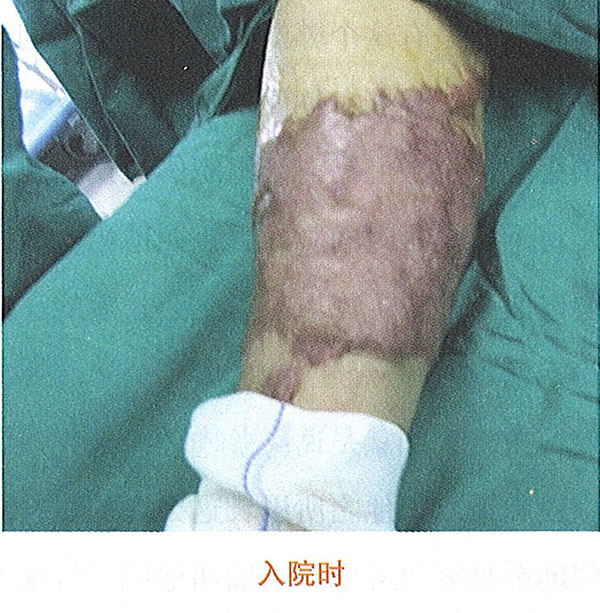 bte·365(中国)体育在线官网