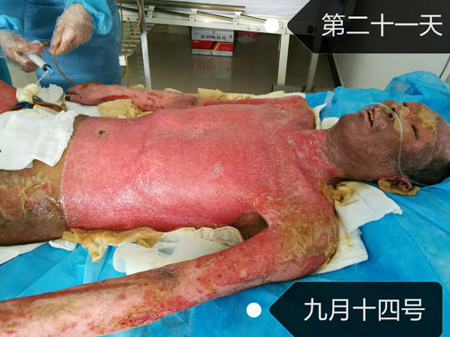 bte·365(中国)体育在线官网