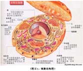 bte·365(中国)体育在线官网